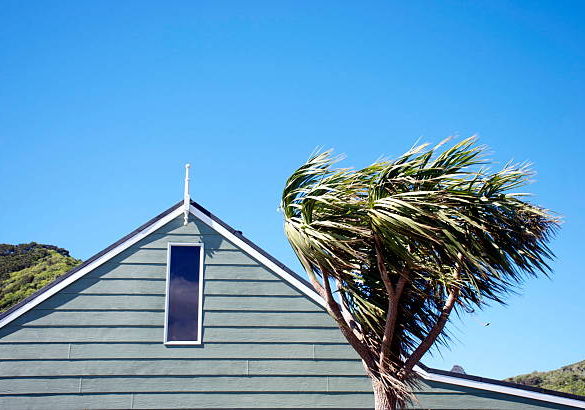 terms and conditions - housingplus